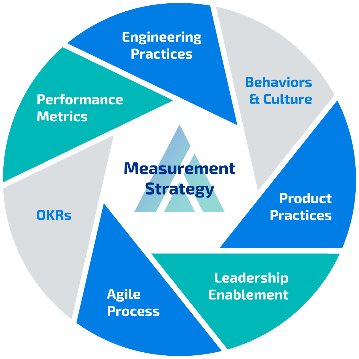 Measurement Strategy
